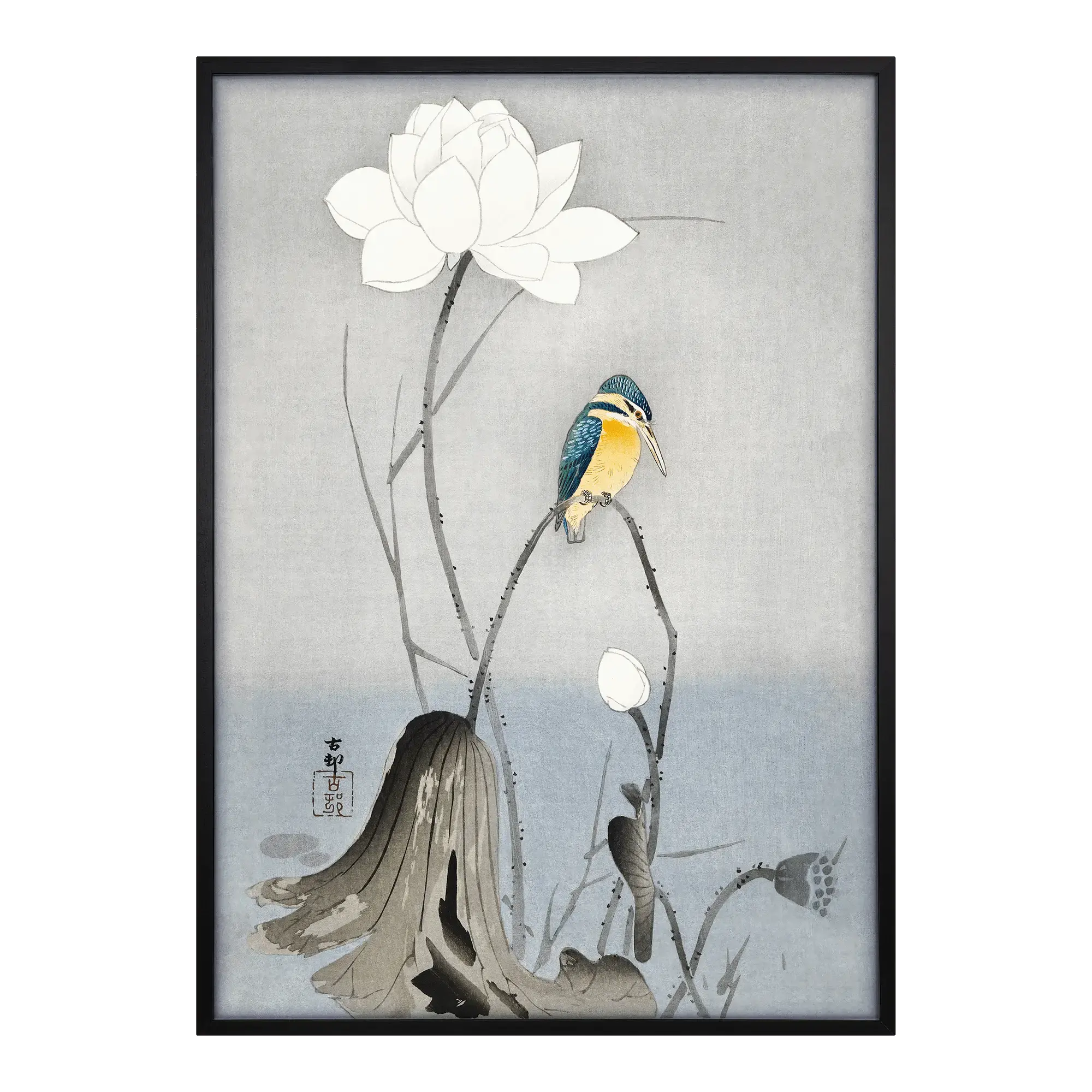 Kingfisher with Lotus Flower Alfredssons