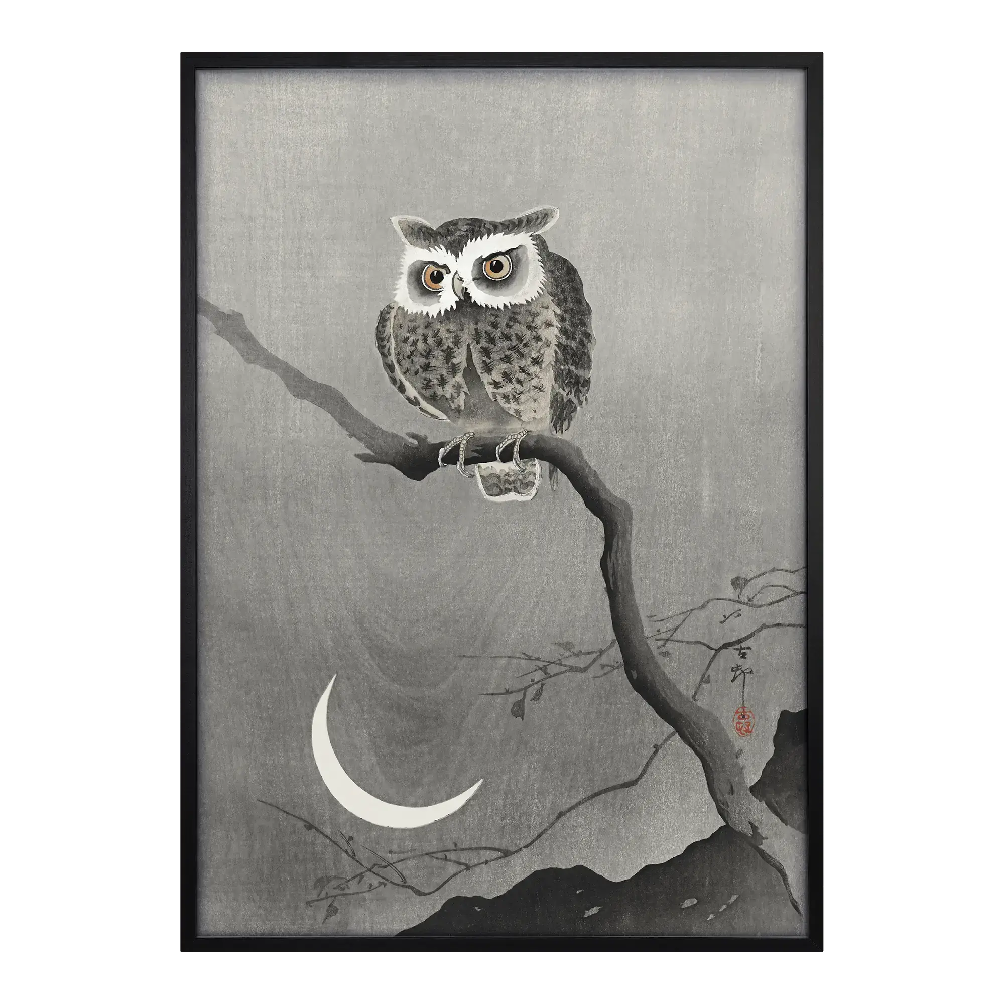 Long-eared Owl on Bare Tree Branch Artelo