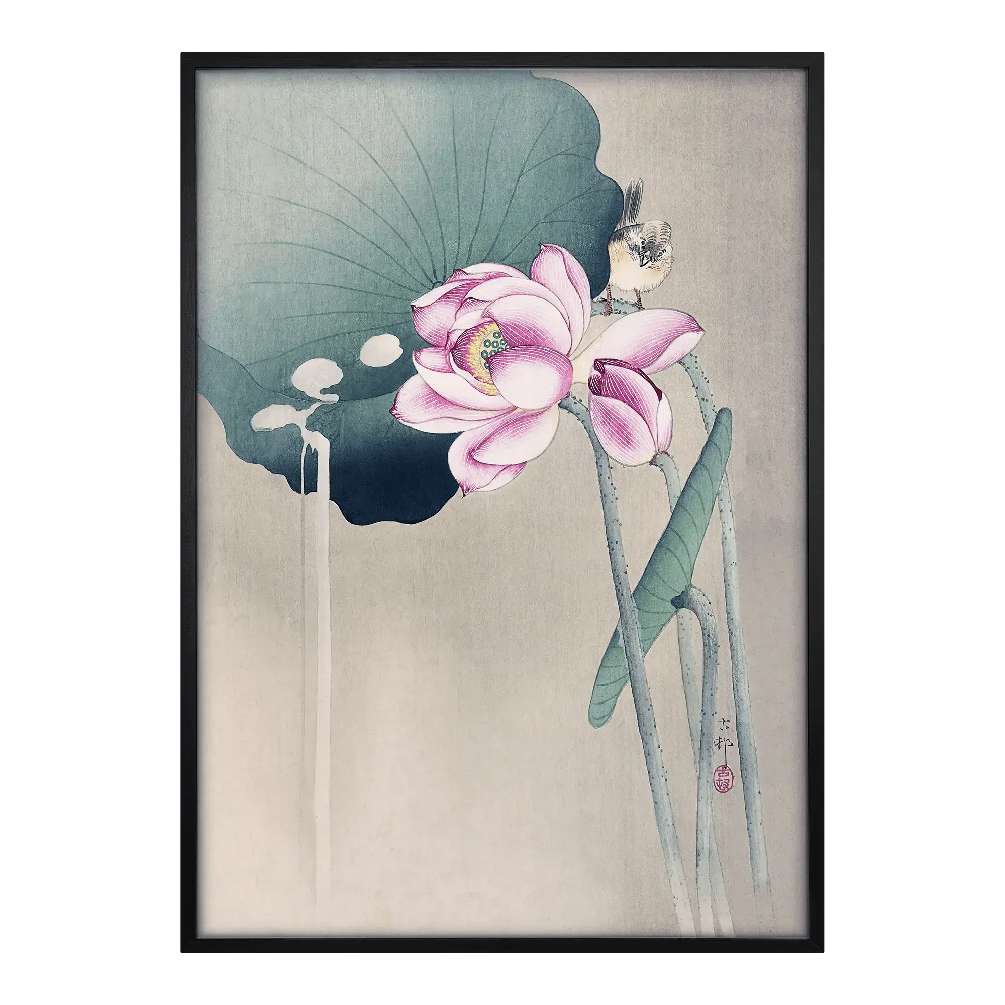 Songbird and Lotus Artelo