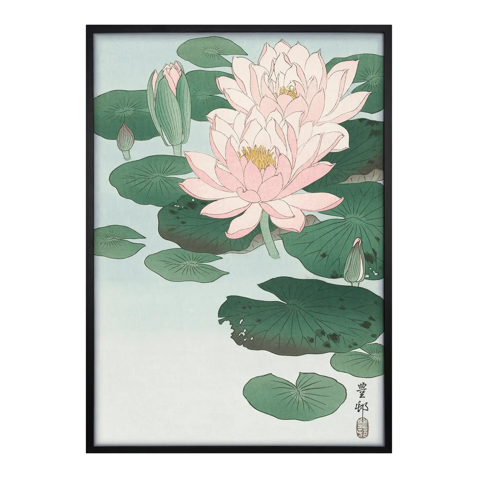 Water Lilies Artelo