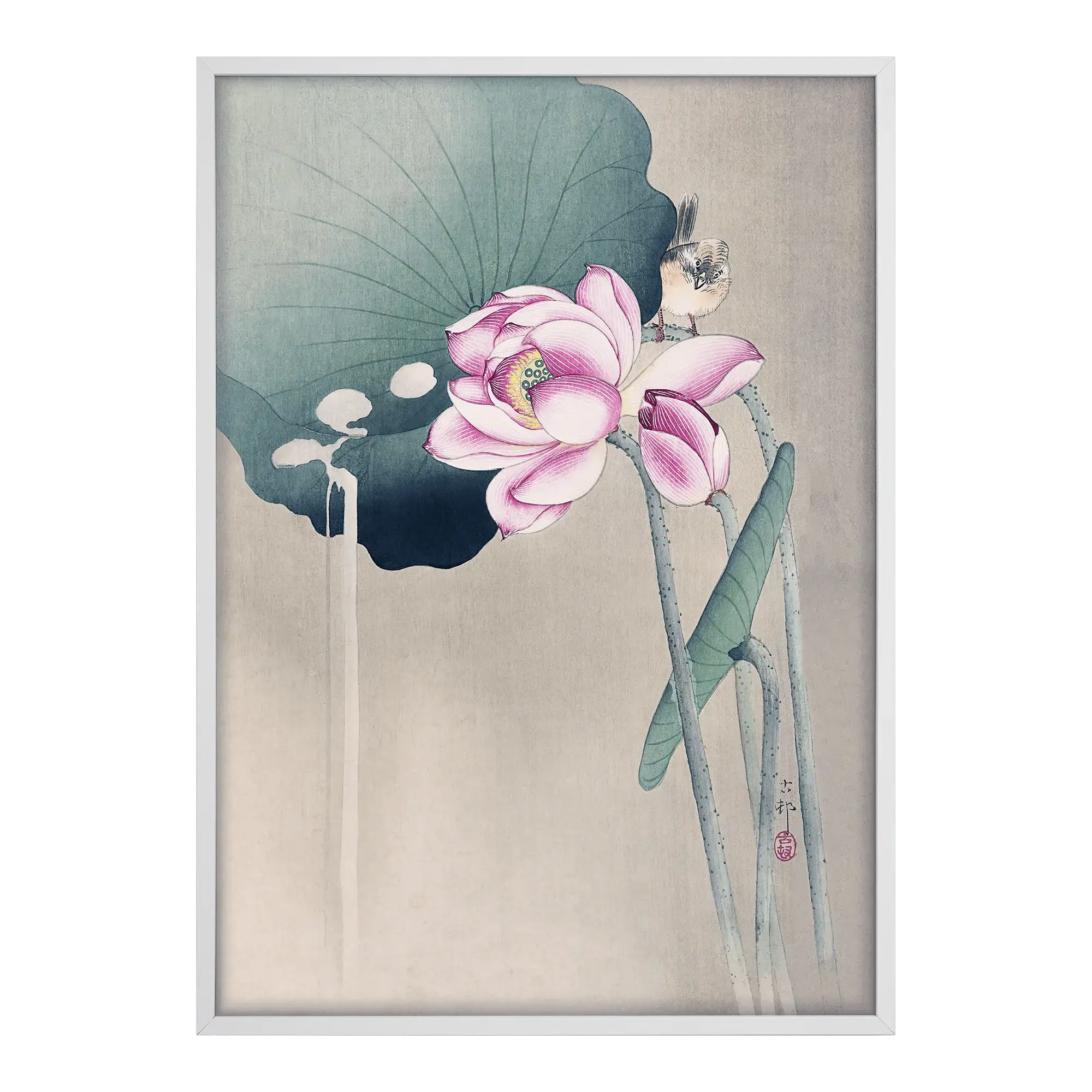 Songbird and Lotus Alfredssons