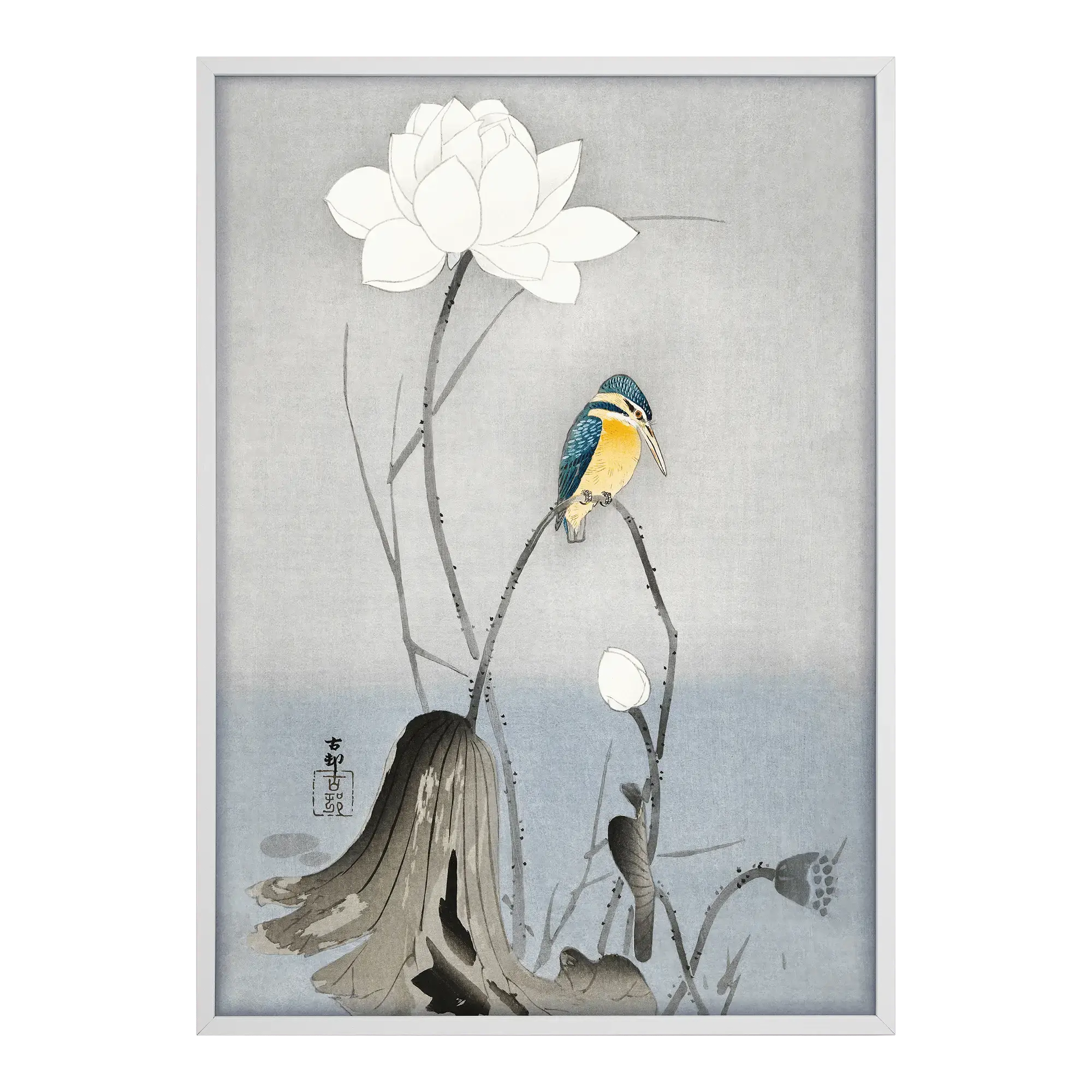 Kingfisher with Lotus Flower Alfredssons