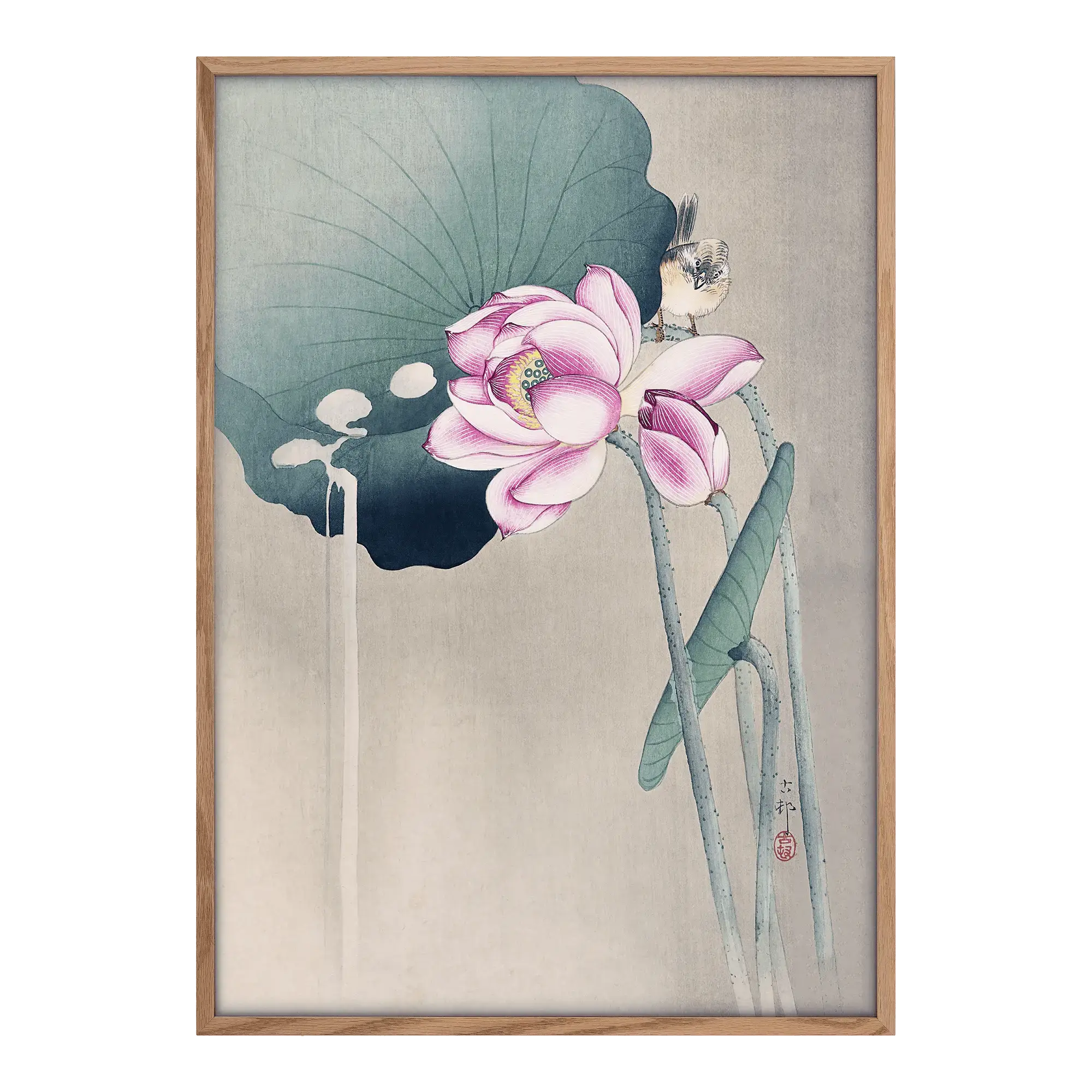 Songbird and Lotus Alfredssons