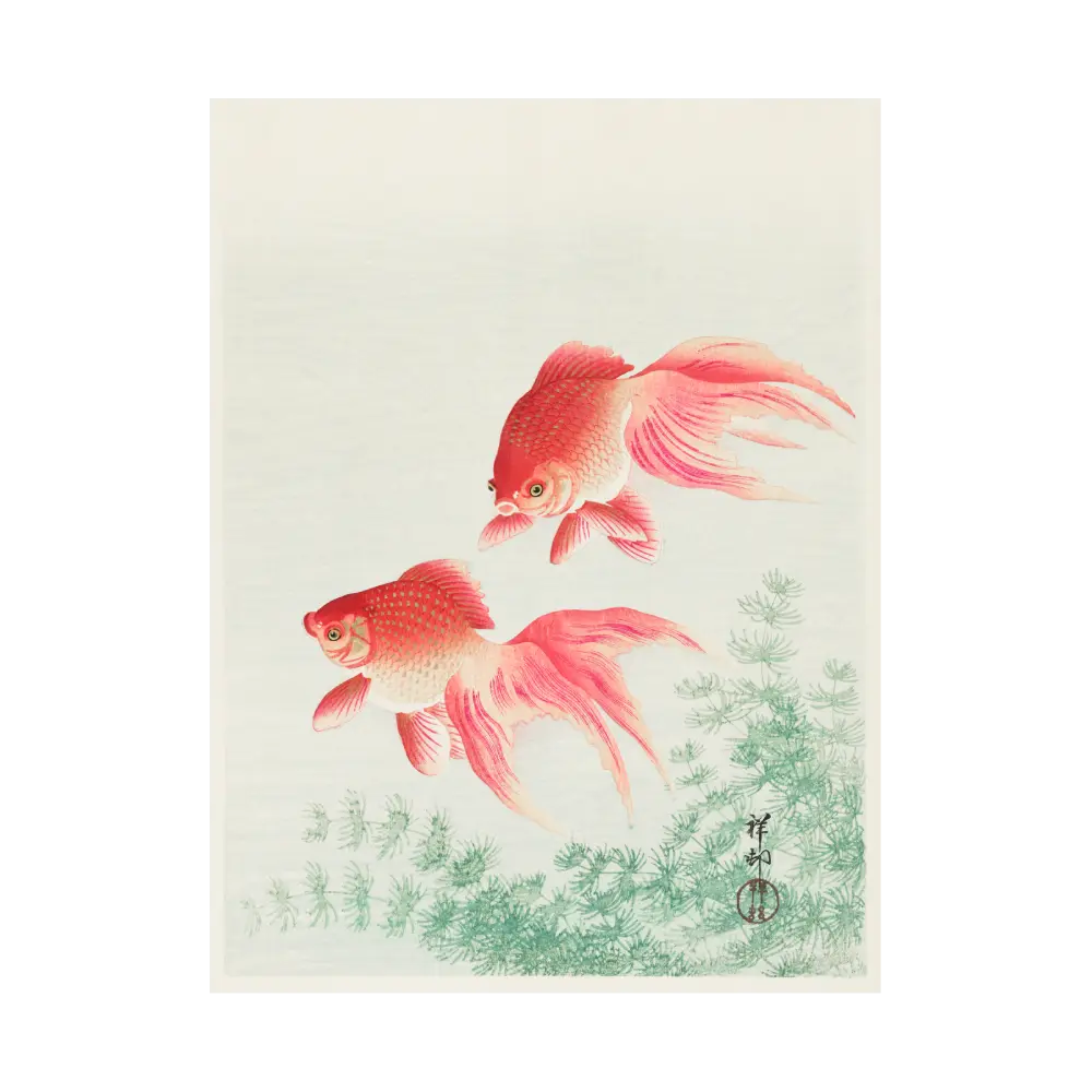 Two Veil Goldfish Artelo