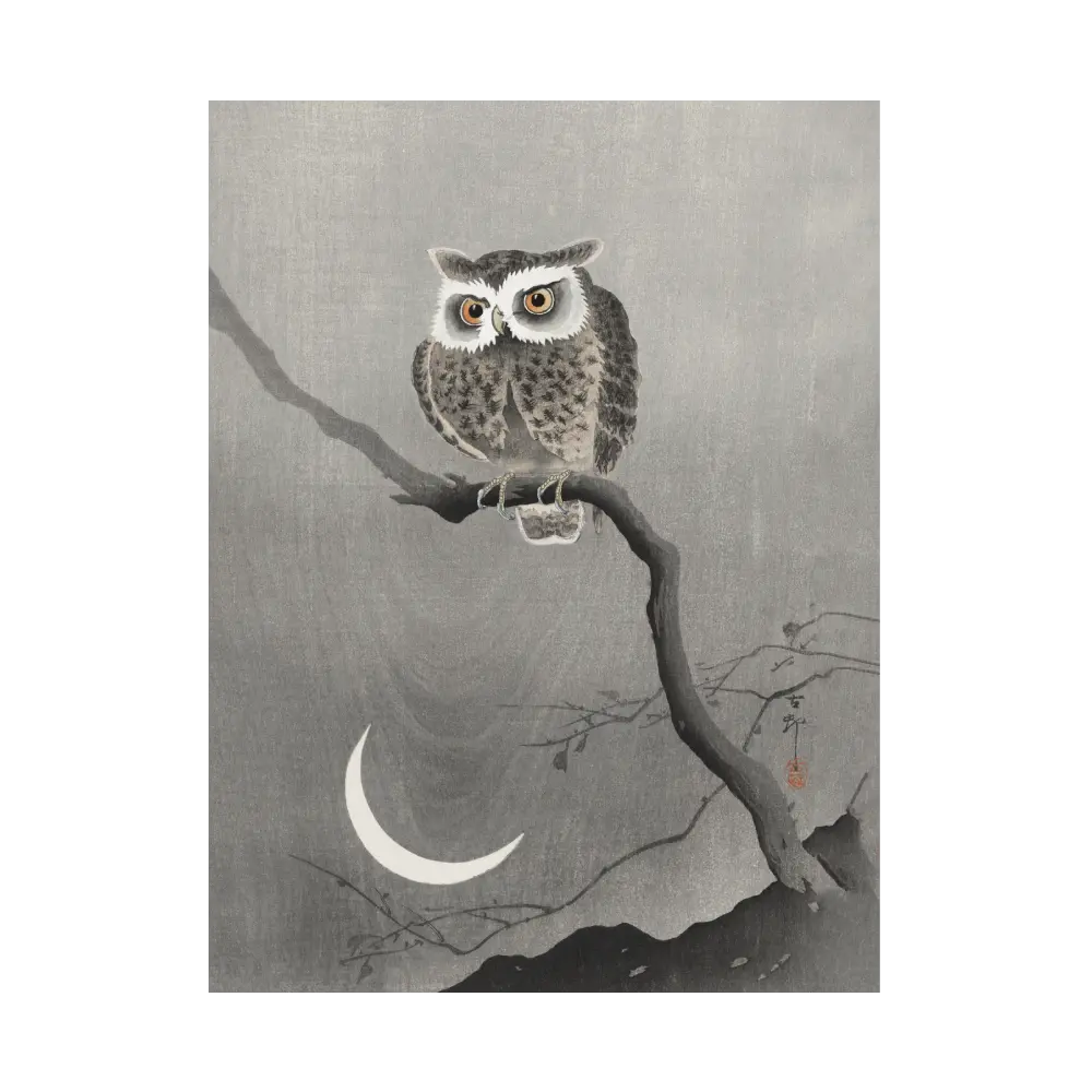 Long-eared Owl on Bare Tree Branch Artelo