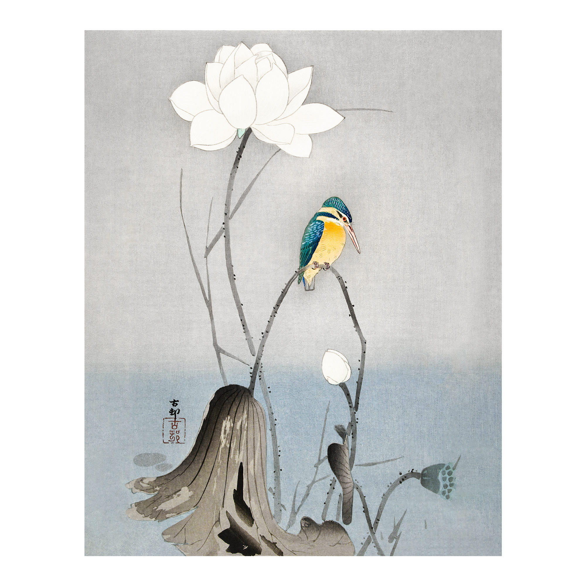 Kingfisher with Lotus Flower Artelo