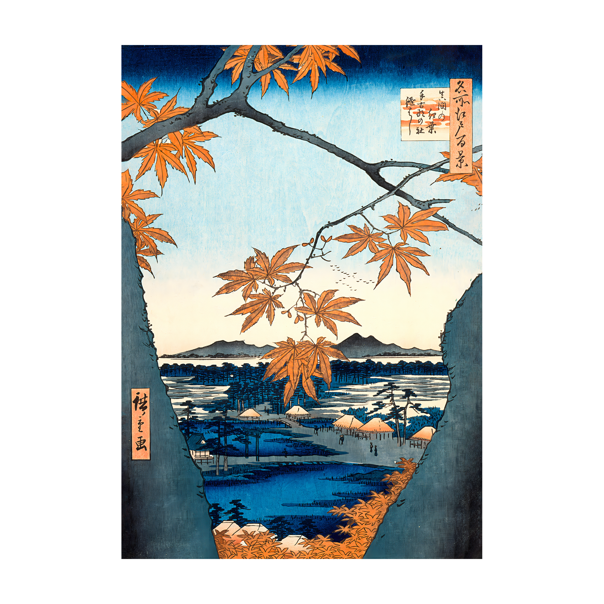 Maple Trees at Mama Artelo