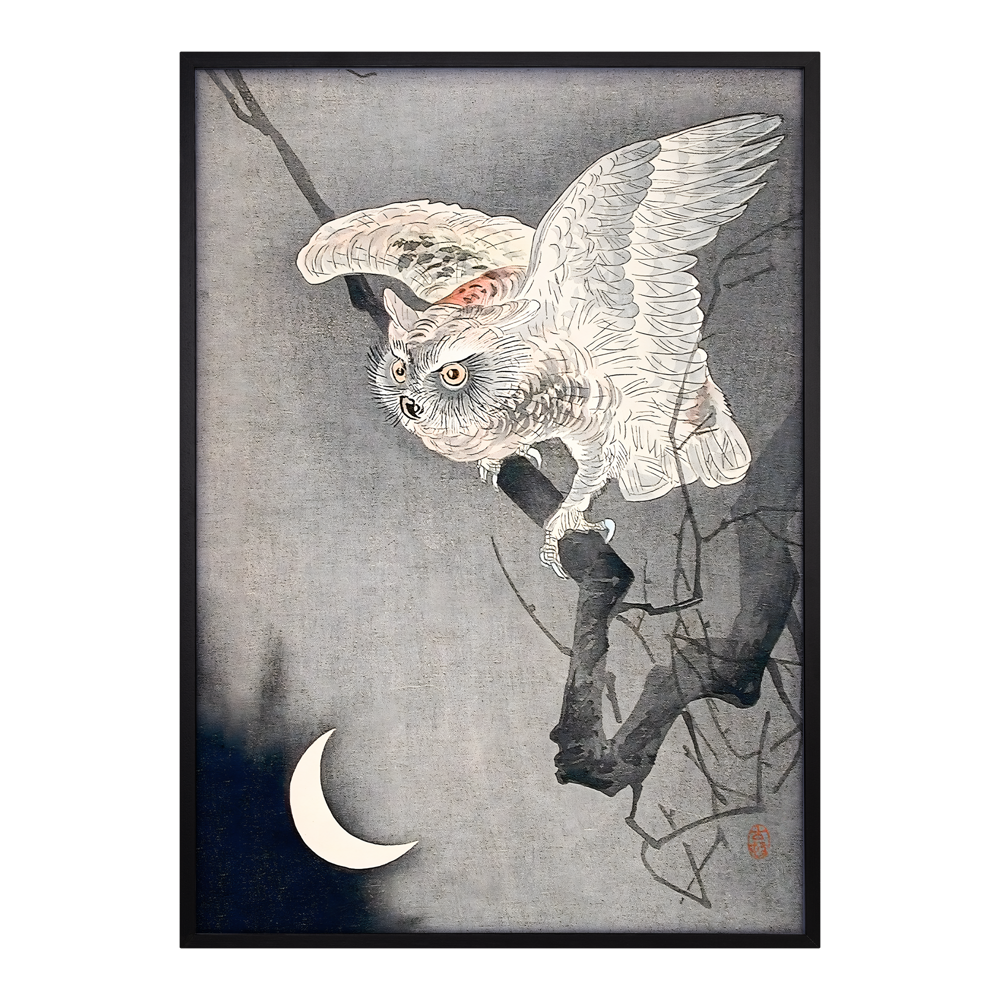 Scops Owl in Moonlight Alfredssons