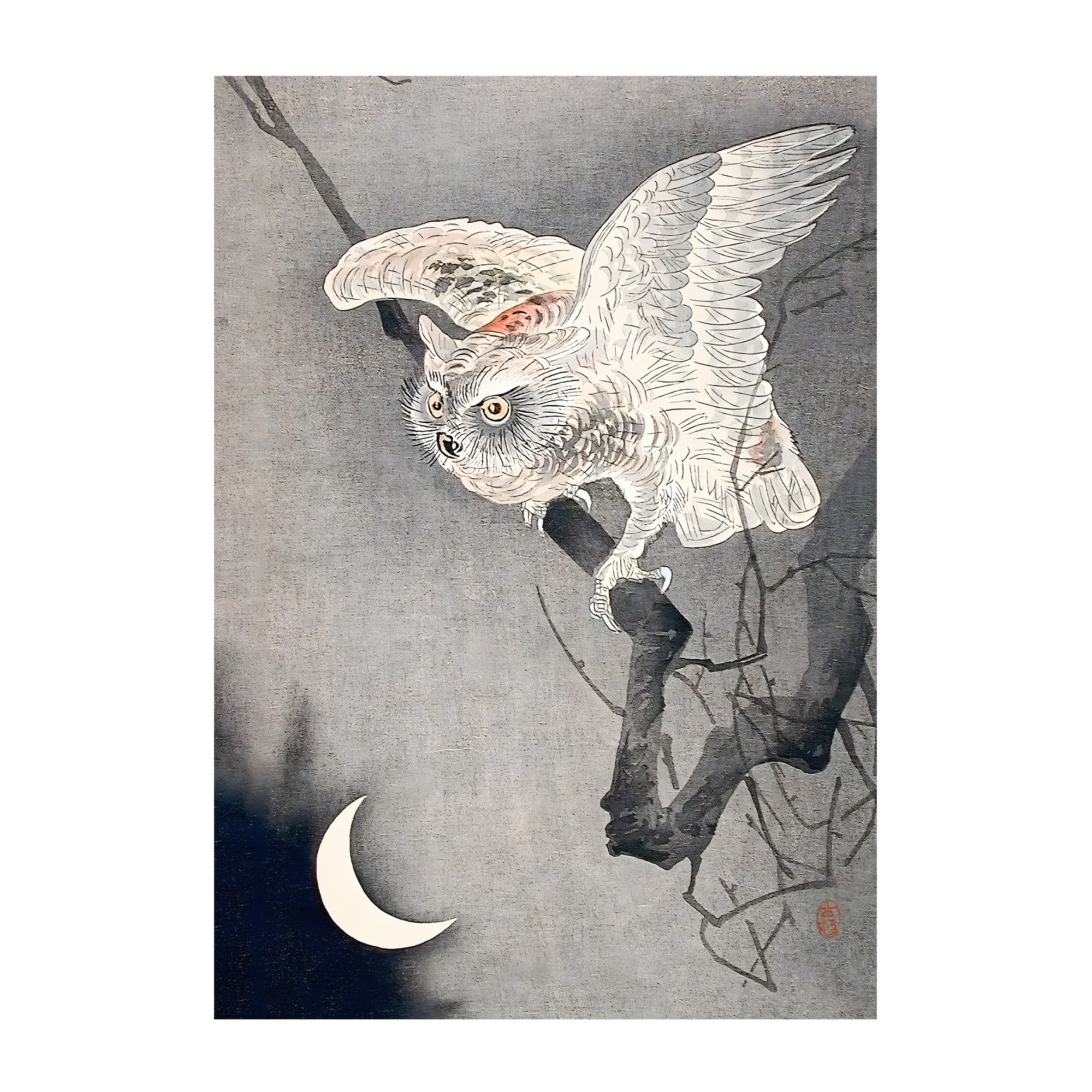 Scops Owl in Moonlight Alfredssons