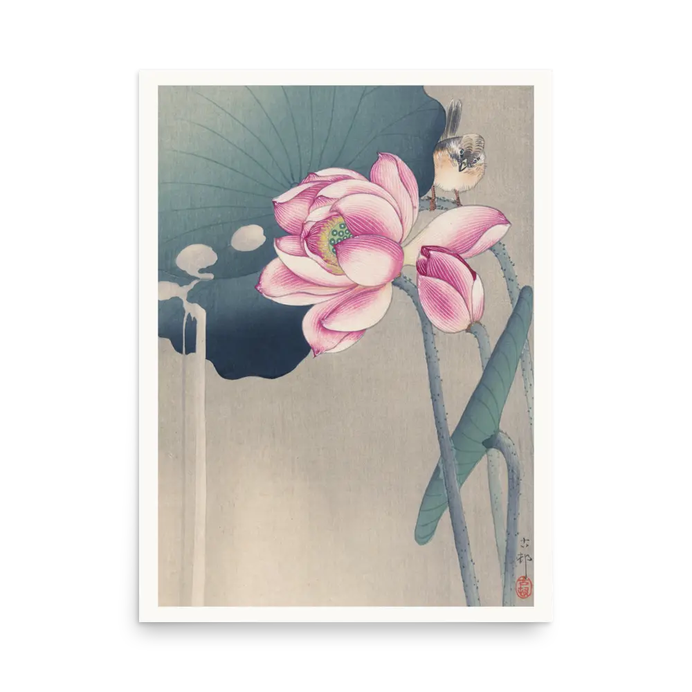 Songbird and Lotus Artelo