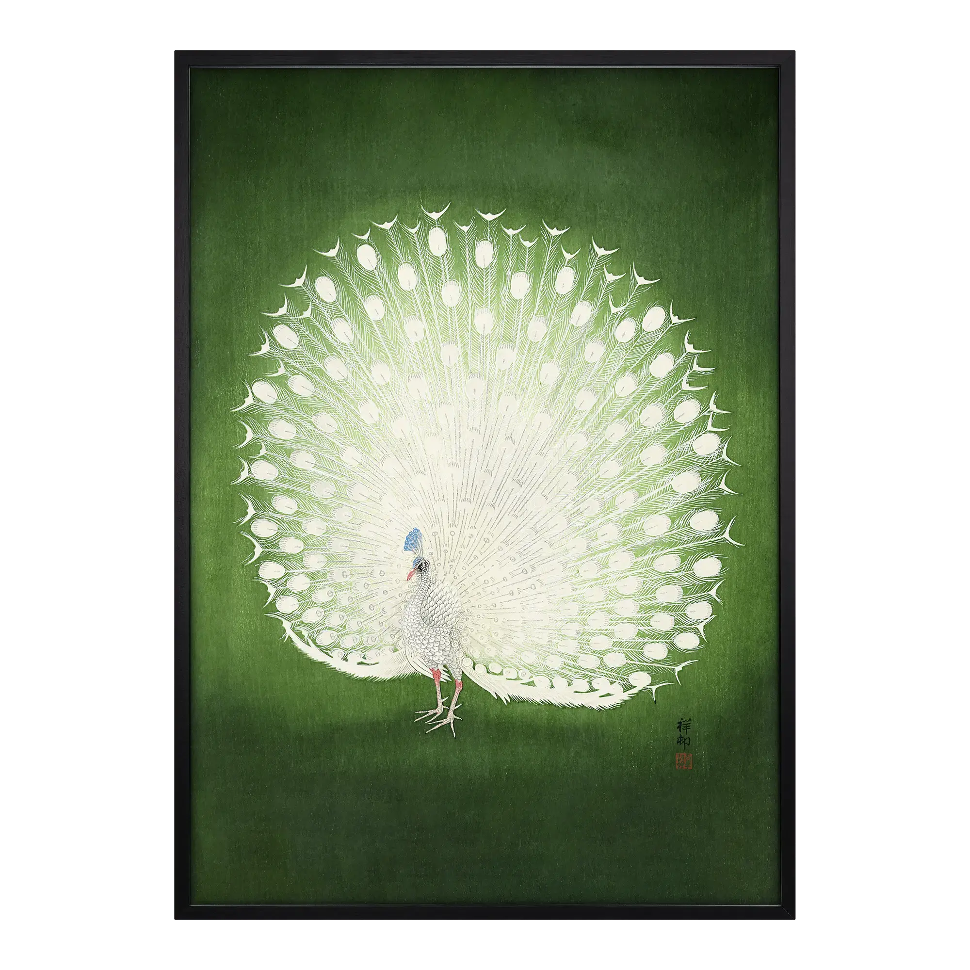 Peacock Alfredssons