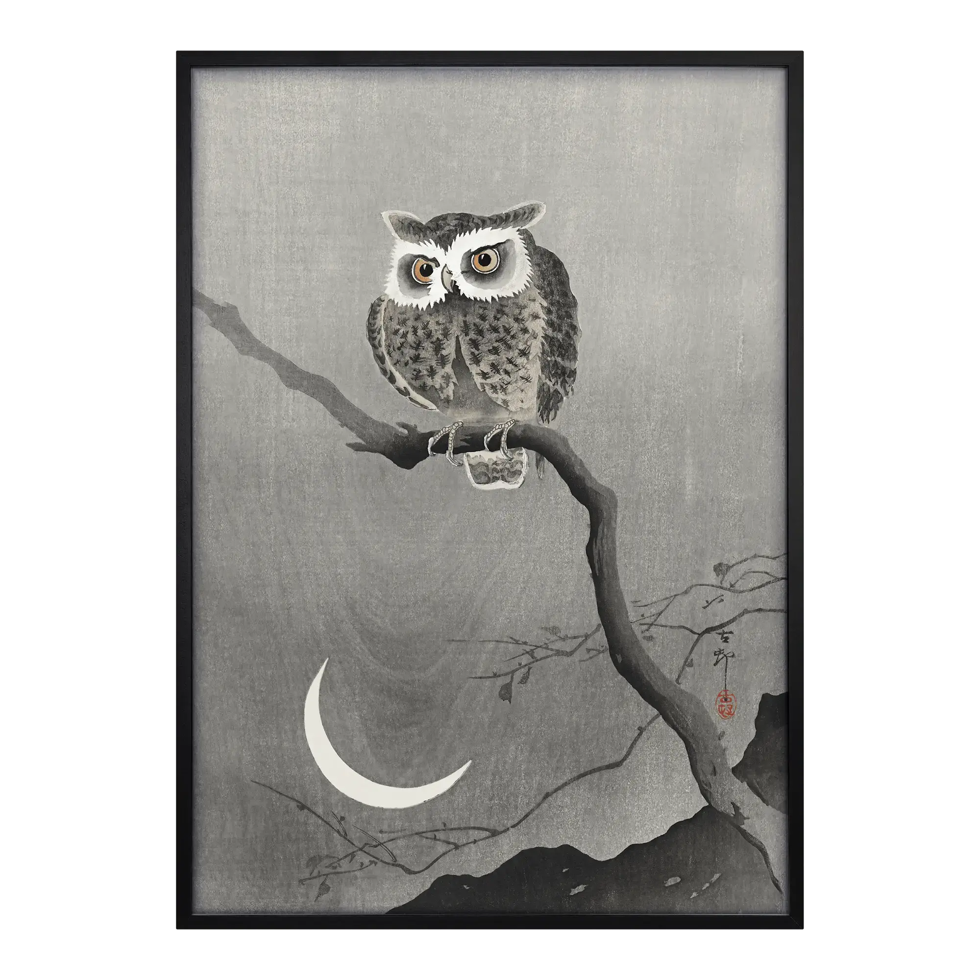 Long-eared Owl on Bare Tree Branch Alfredssons