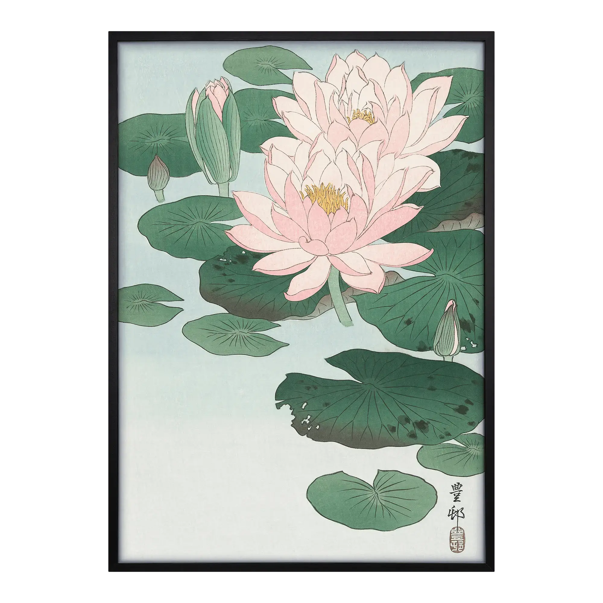 Water Lilies Alfredssons