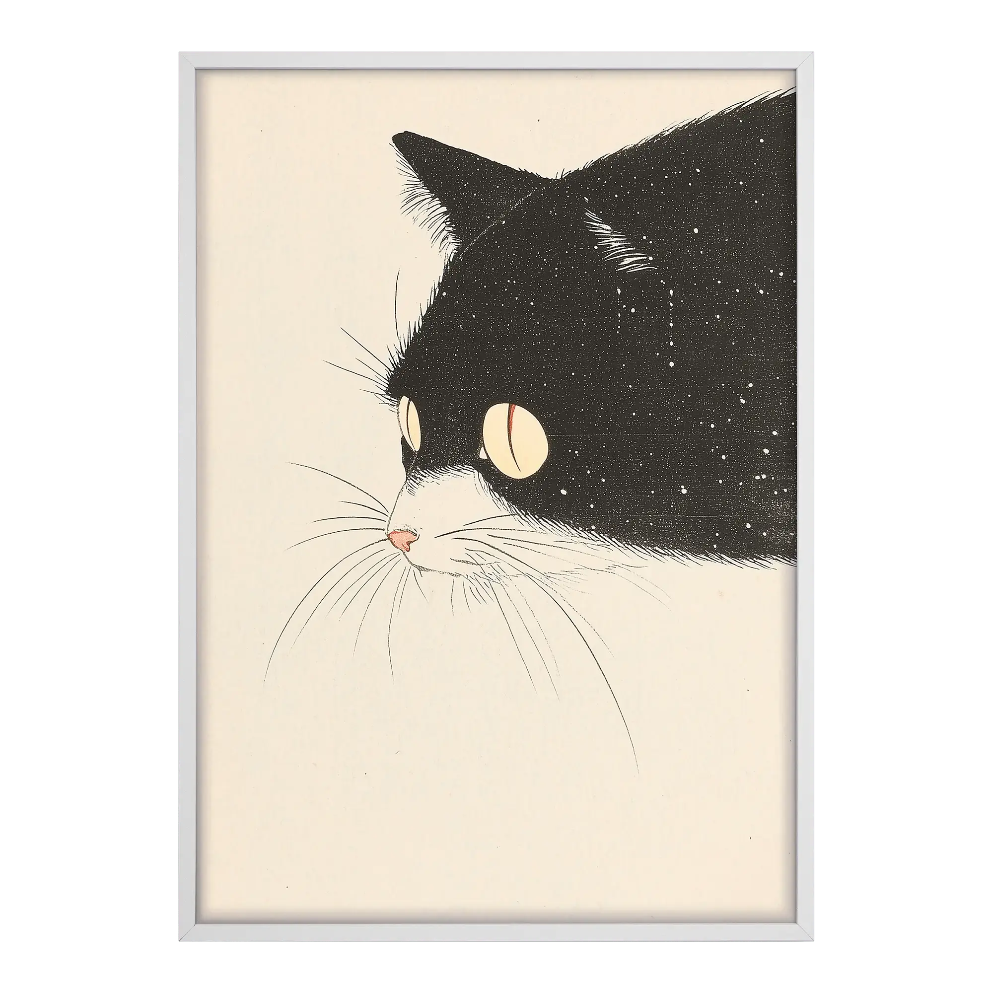Curious Cat Alfredssons