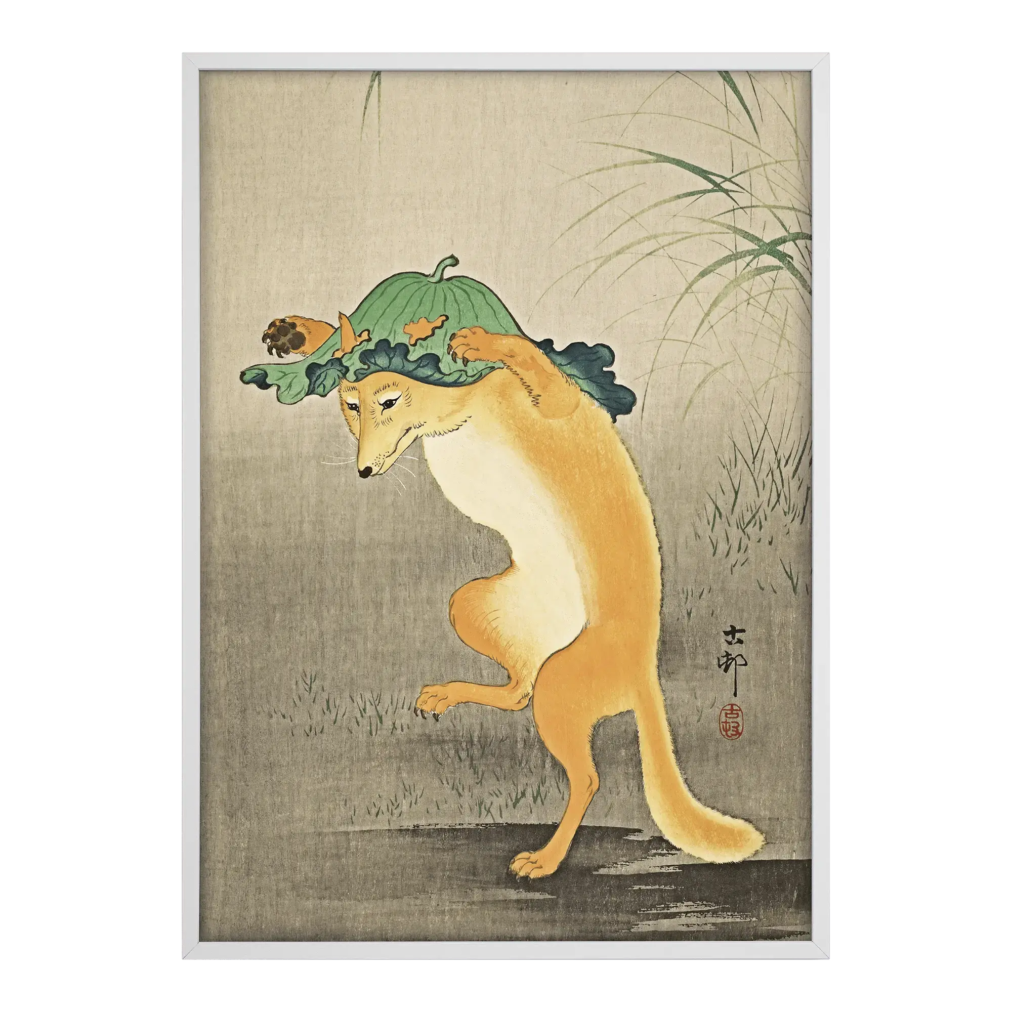 Dancing Fox Alfredssons