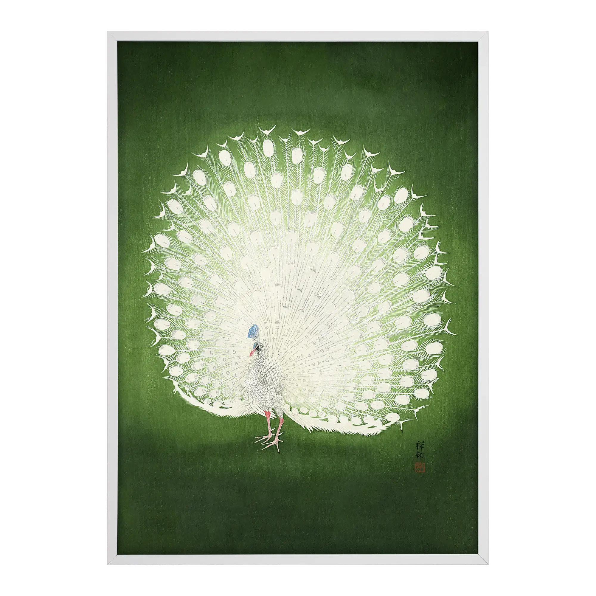 Peacock Alfredssons