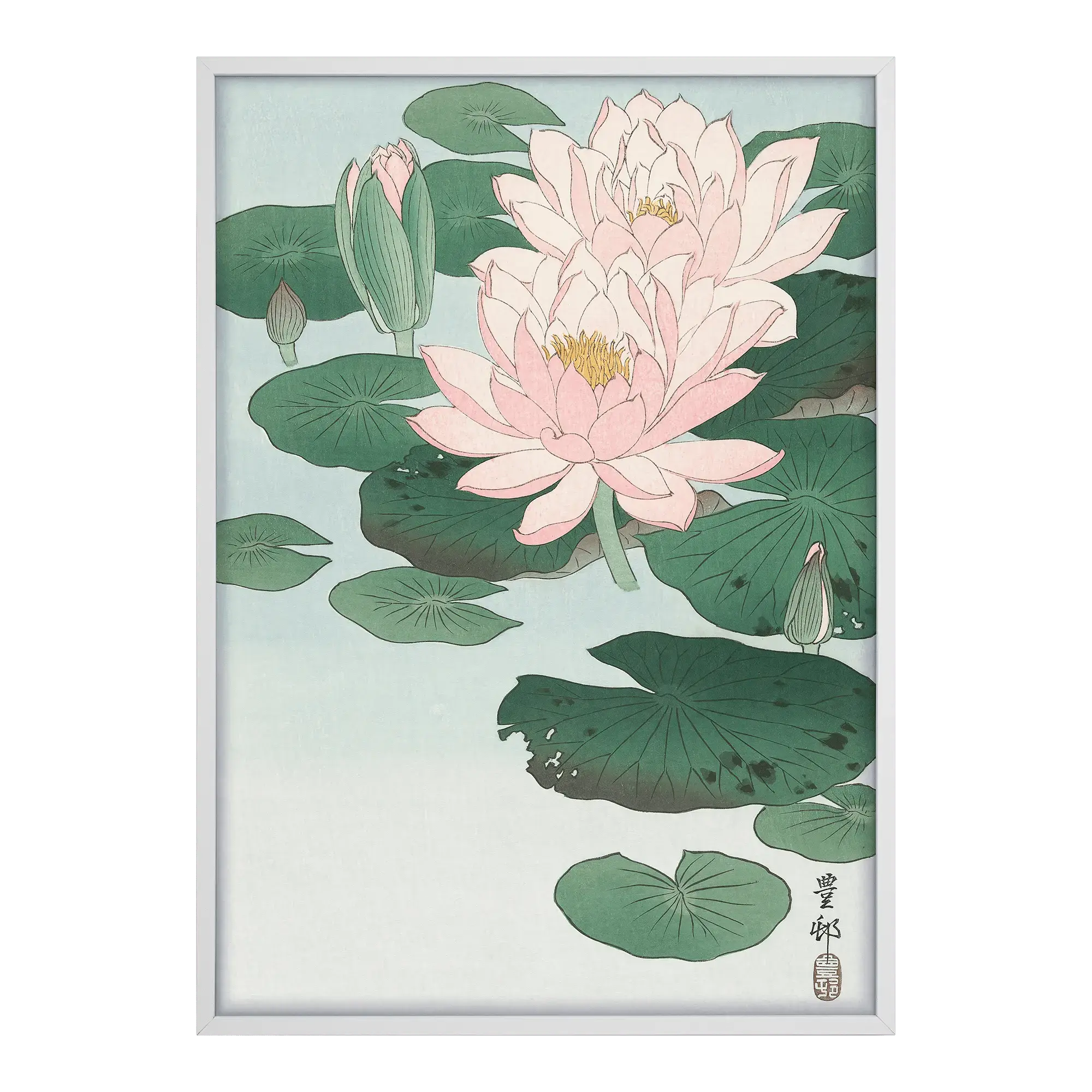 Water Lilies Alfredssons
