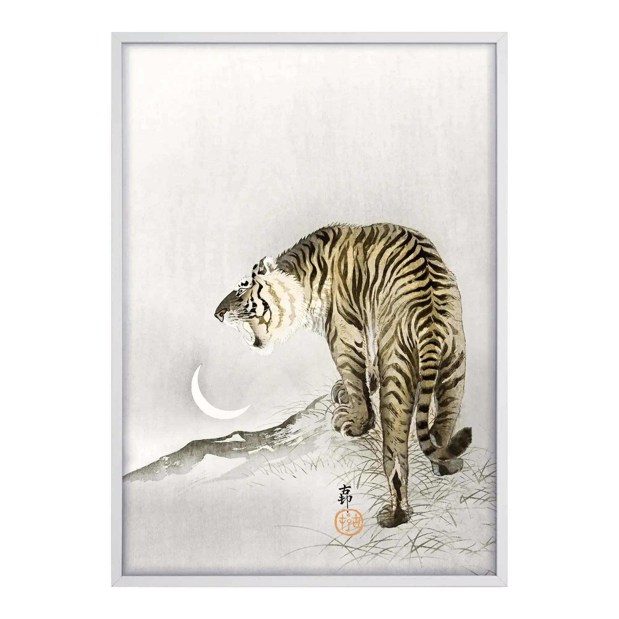 Roaring Tiger Alfredssons