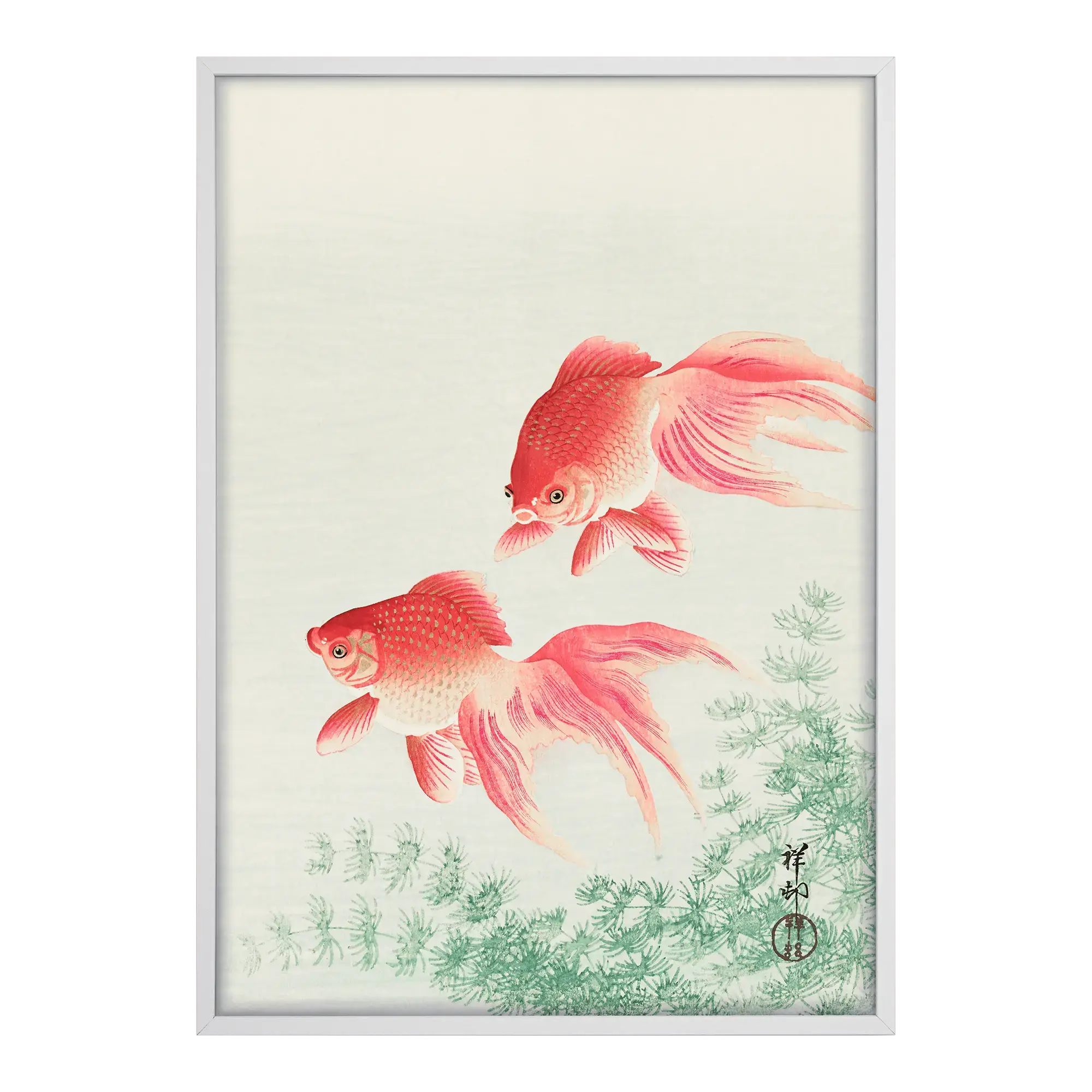 Two Veil Goldfish Alfredssons