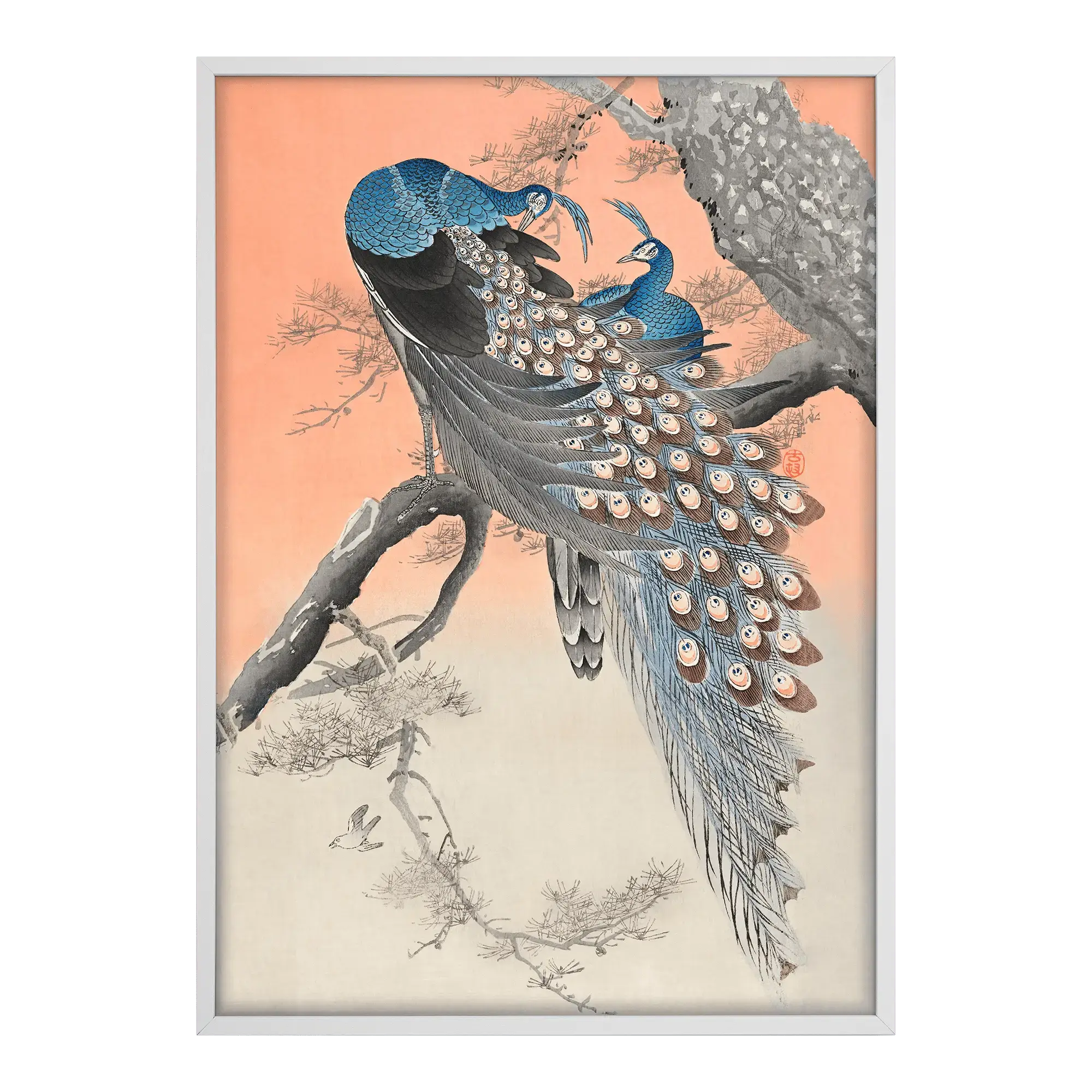 Two Peacocks on Branch Alfredssons