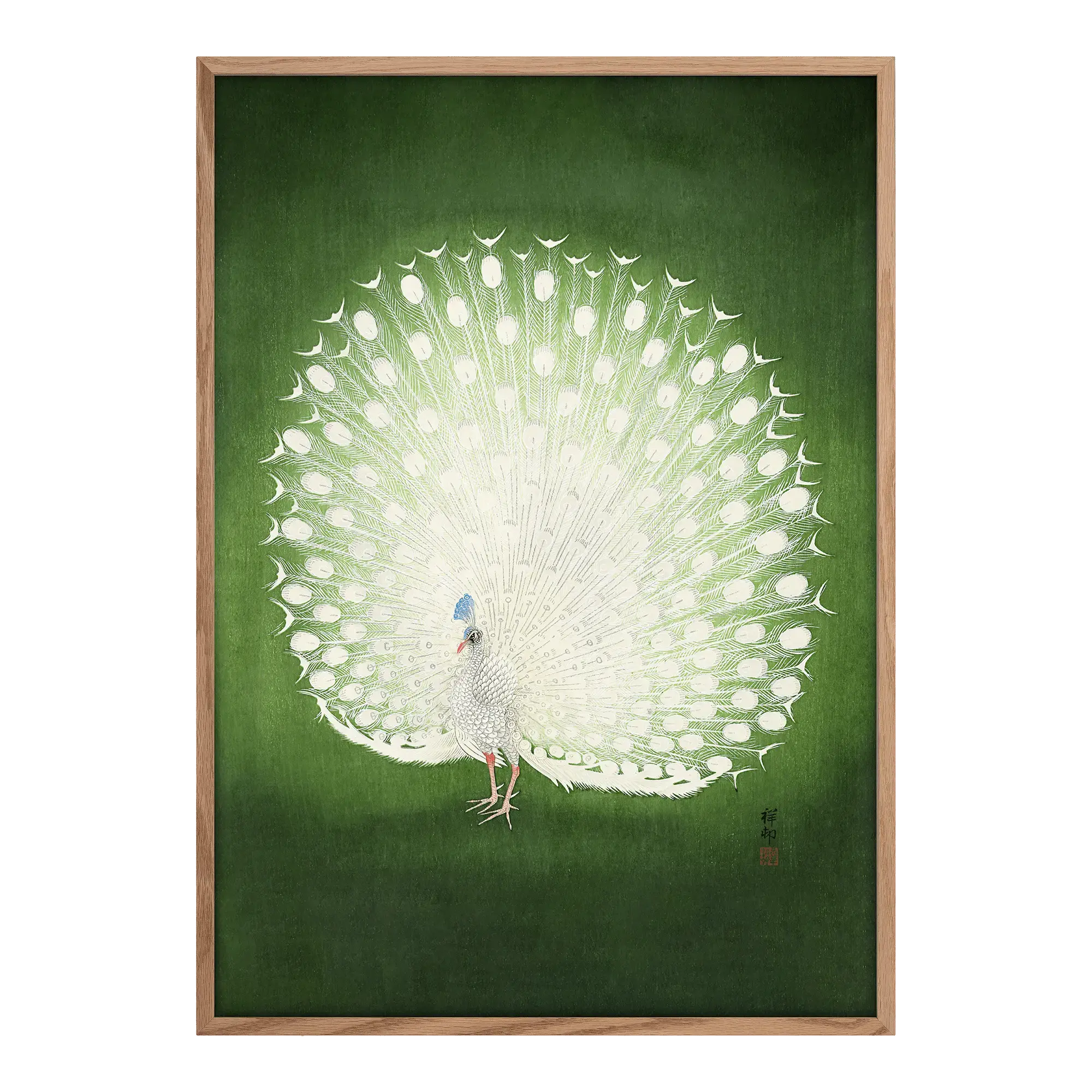 Peacock Alfredssons