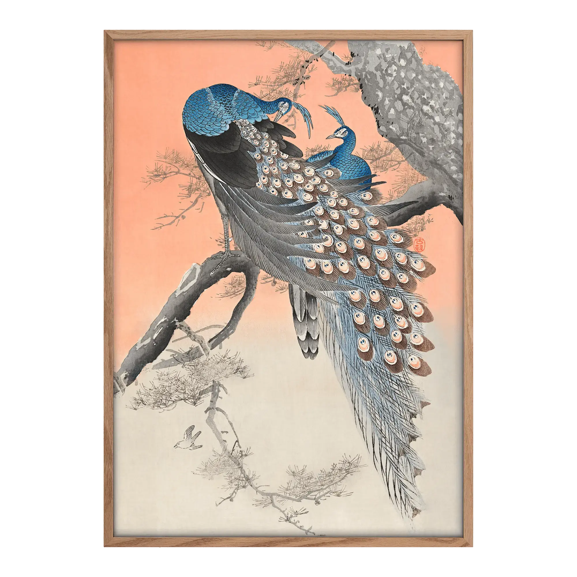 Two Peacocks on Branch Alfredssons