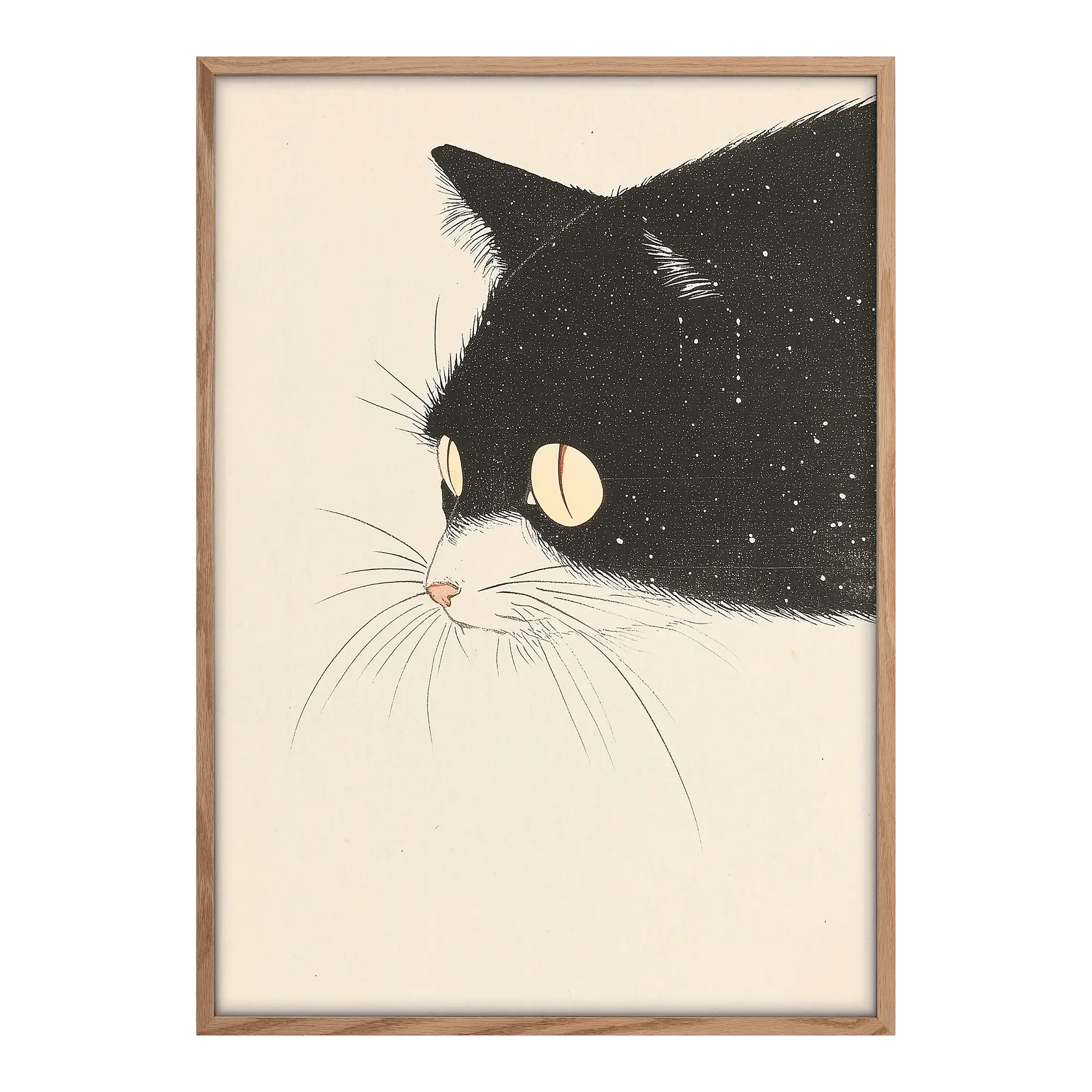 Curious Cat Alfredssons