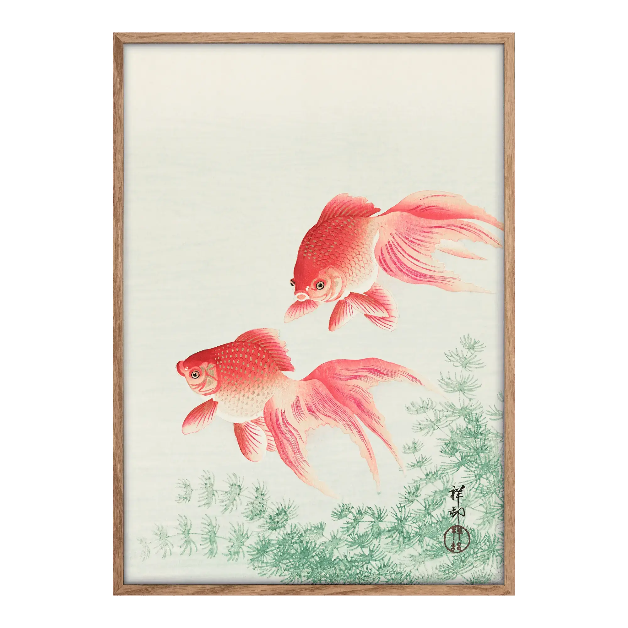 Two Veil Goldfish Alfredssons