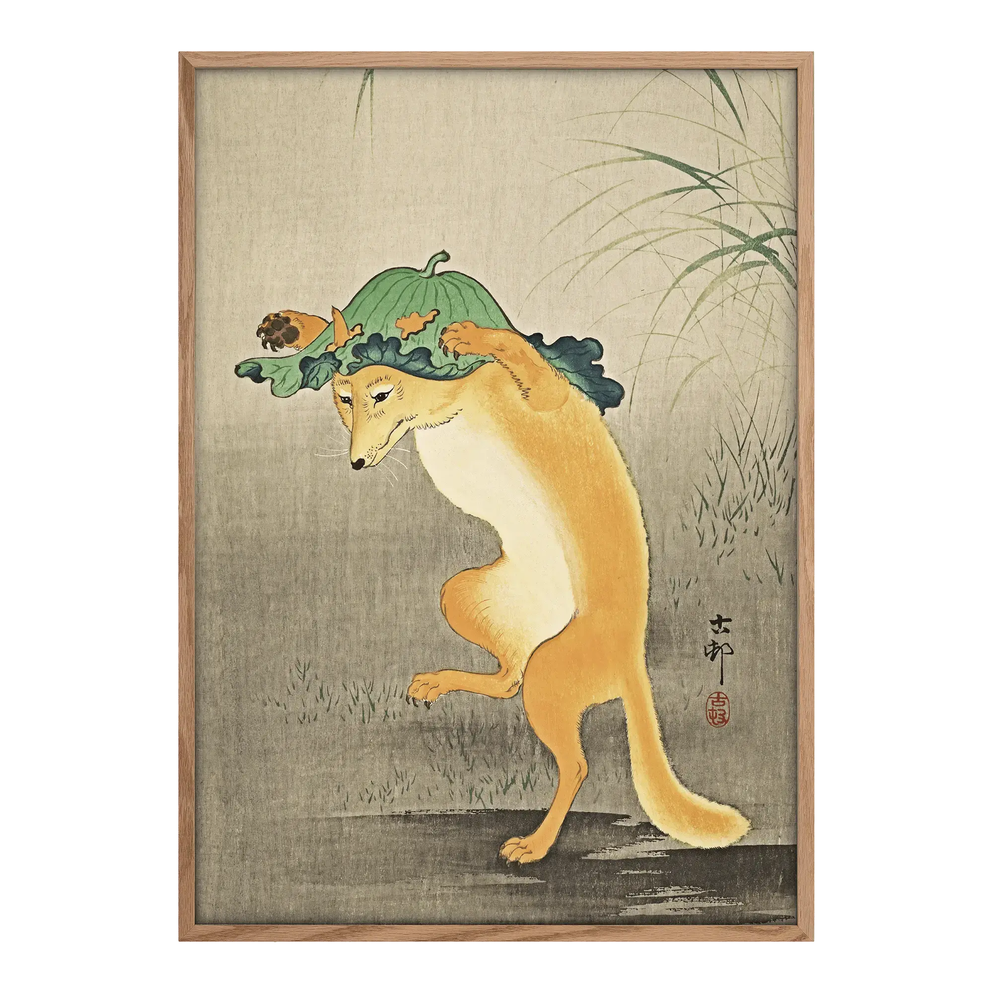 Dancing Fox Alfredssons