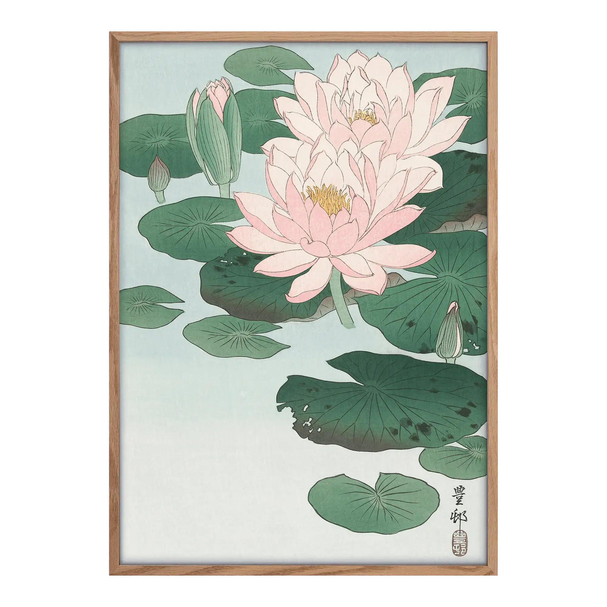 Water Lilies Alfredssons