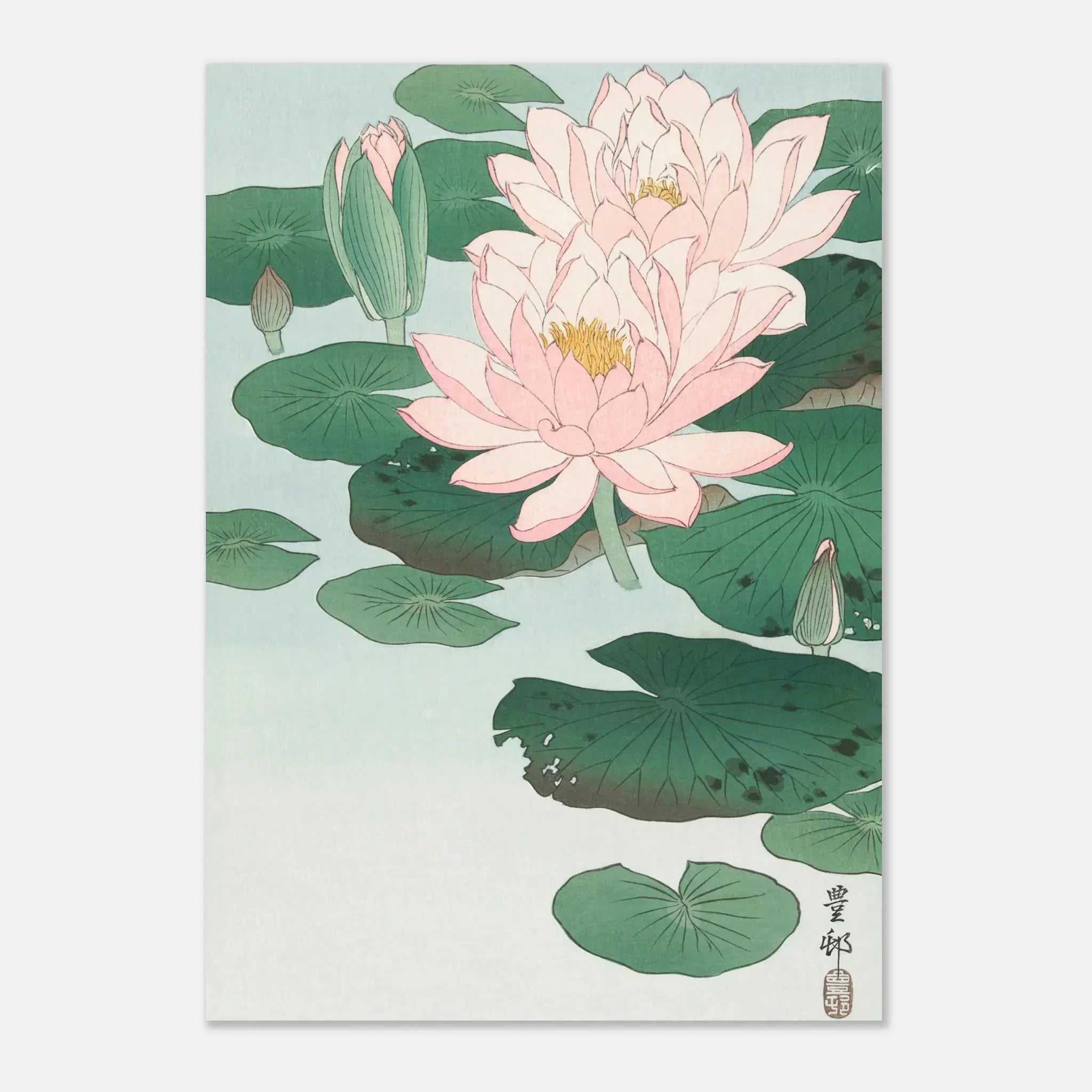Water Lilies