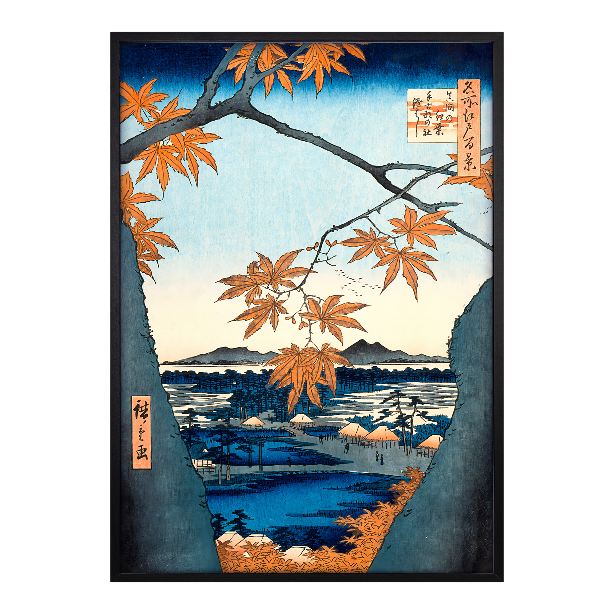 Maple Trees at Mama Alfredssons
