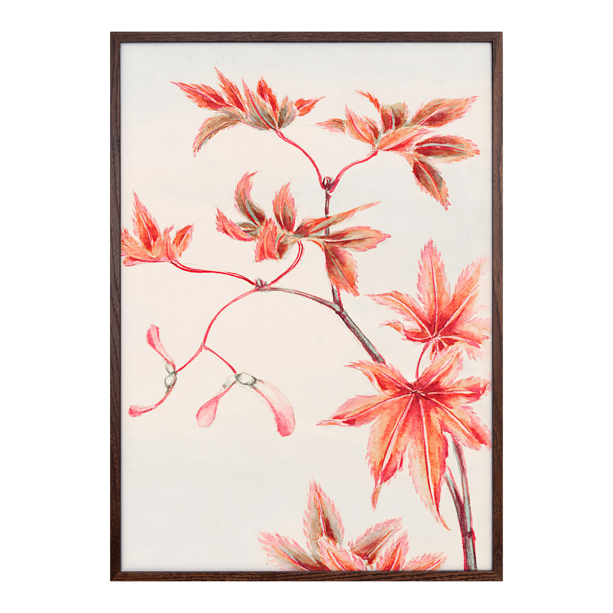 Branch Of Momiji Alfredssons