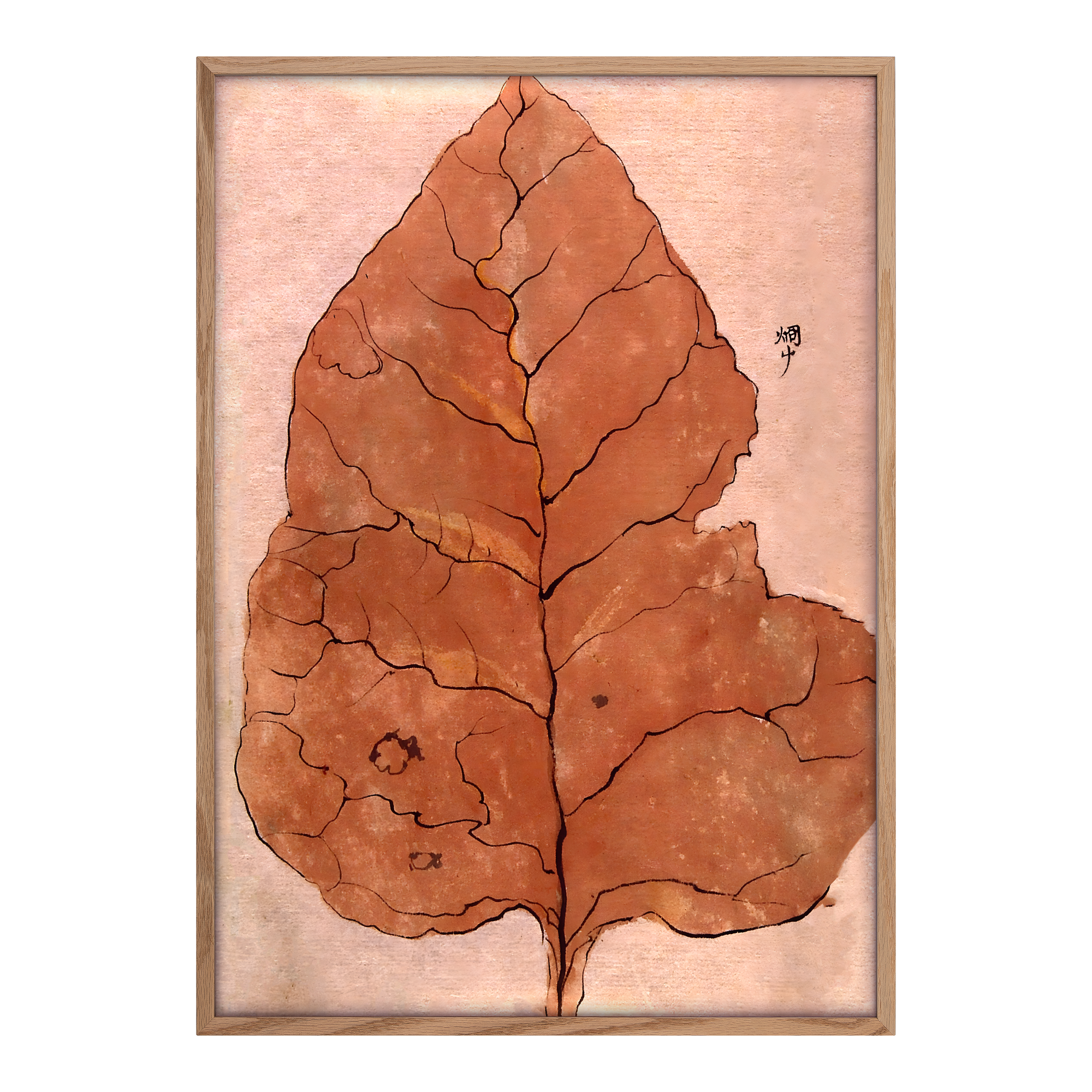 Large Fall Leaf Alfredssons