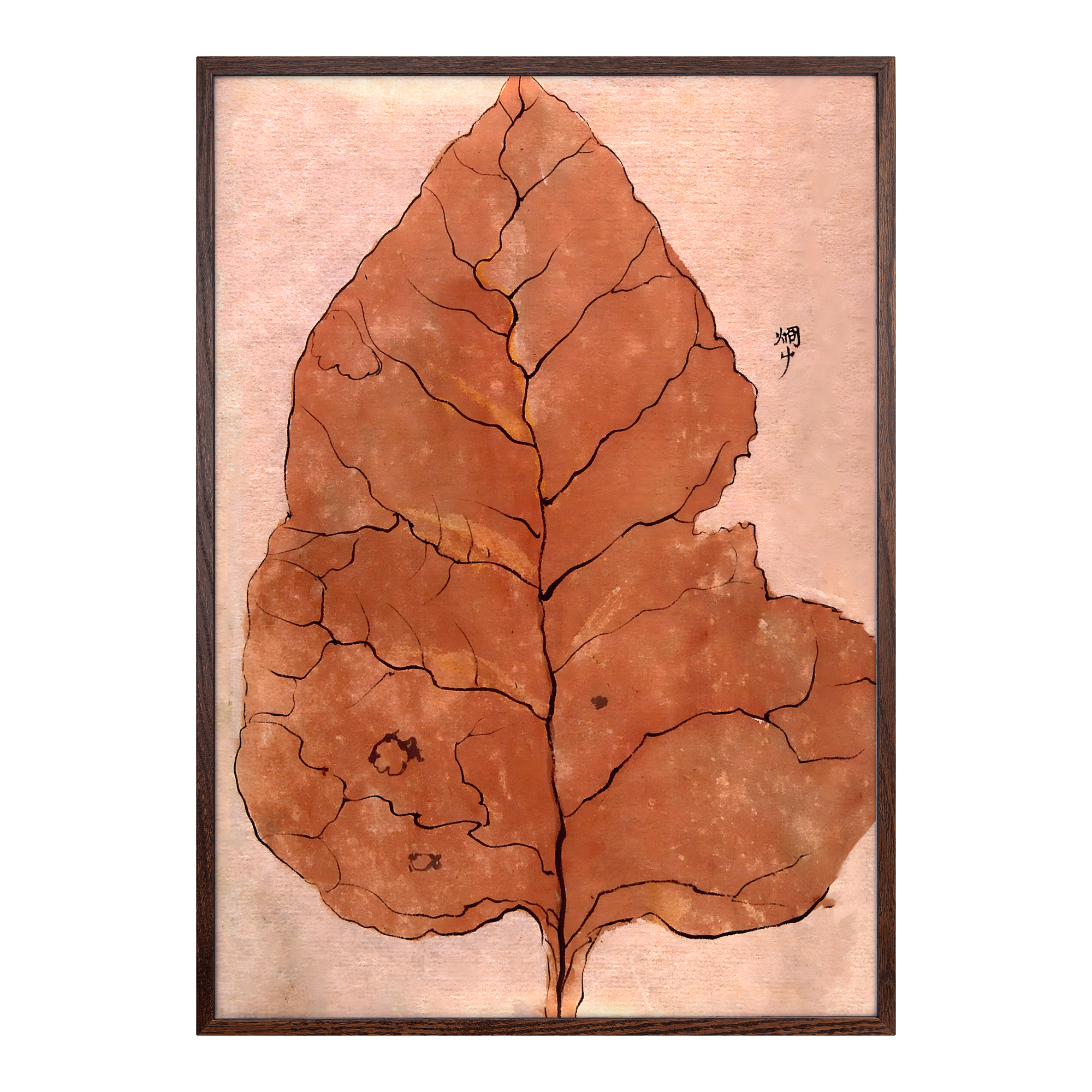 Large Fall Leaf Alfredssons
