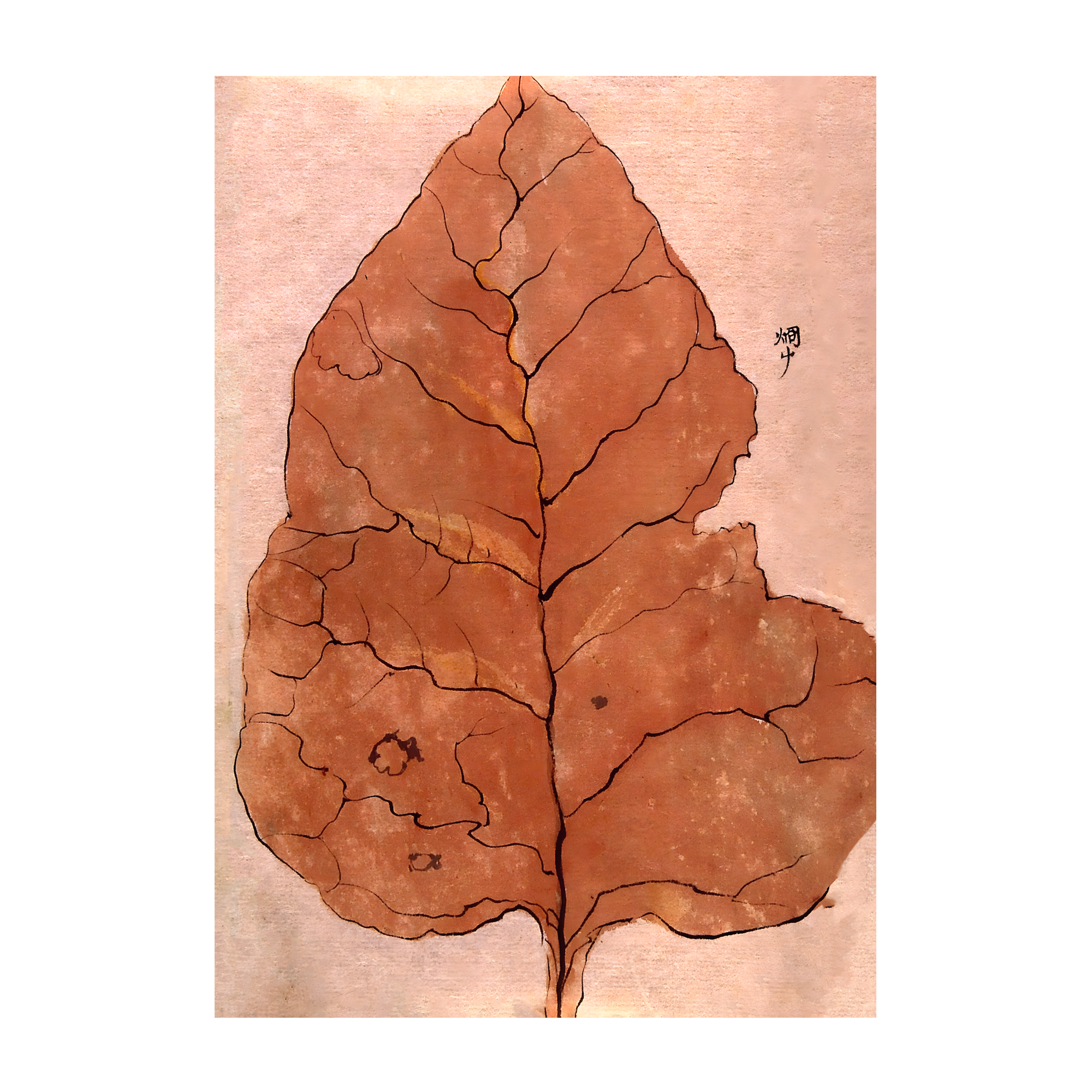 Large Fall Leaf Artelo