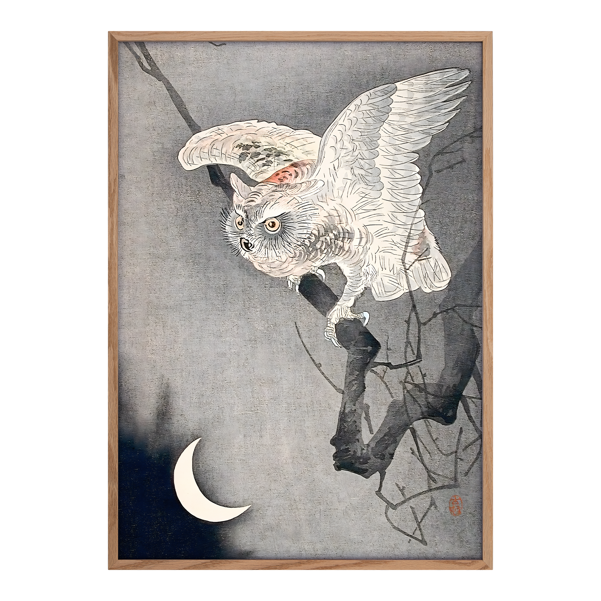 Scops Owl in Moonlight Alfredssons