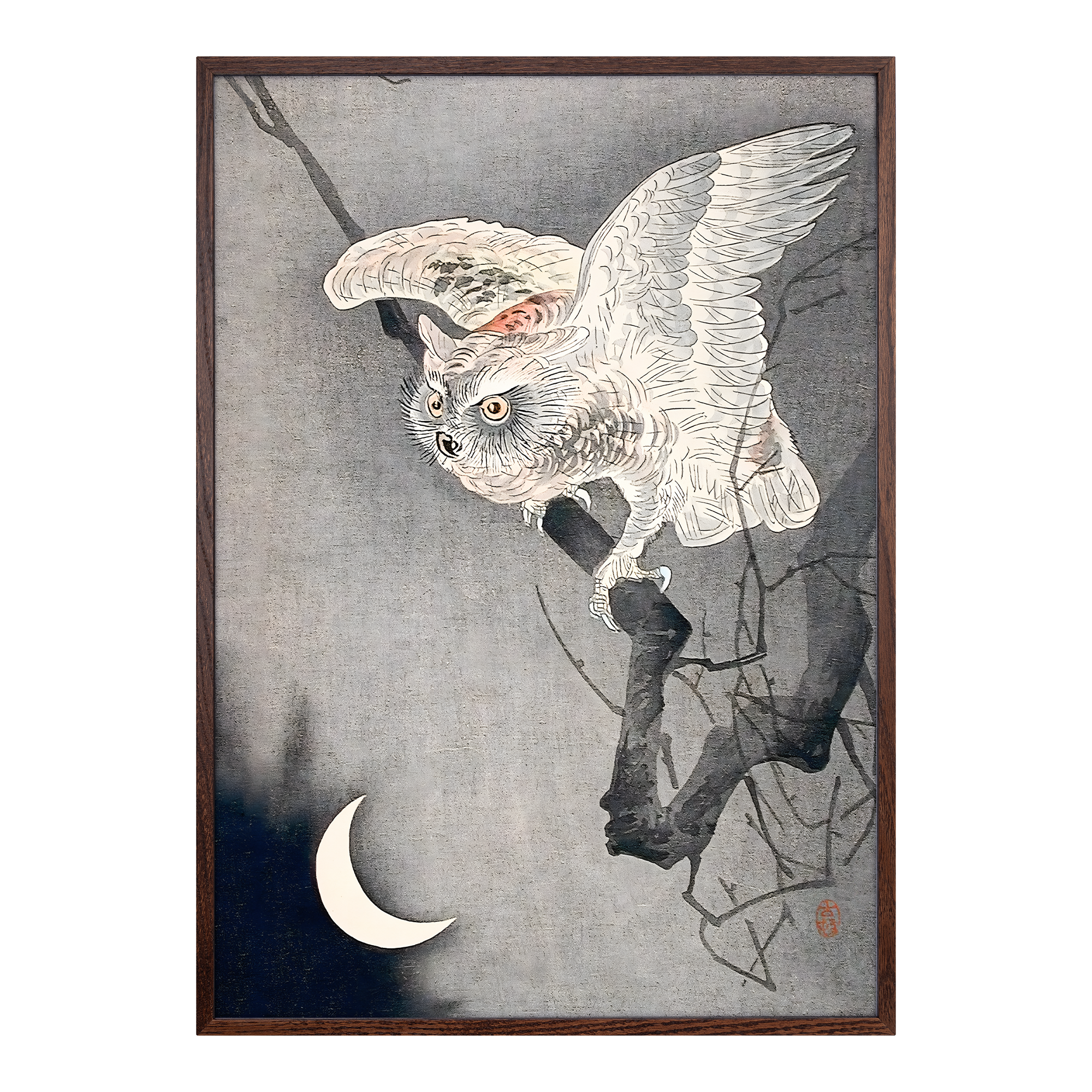 Scops Owl in Moonlight Alfredssons