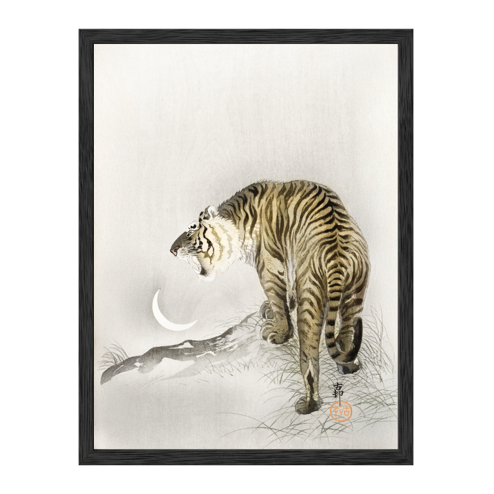 Roaring Tiger