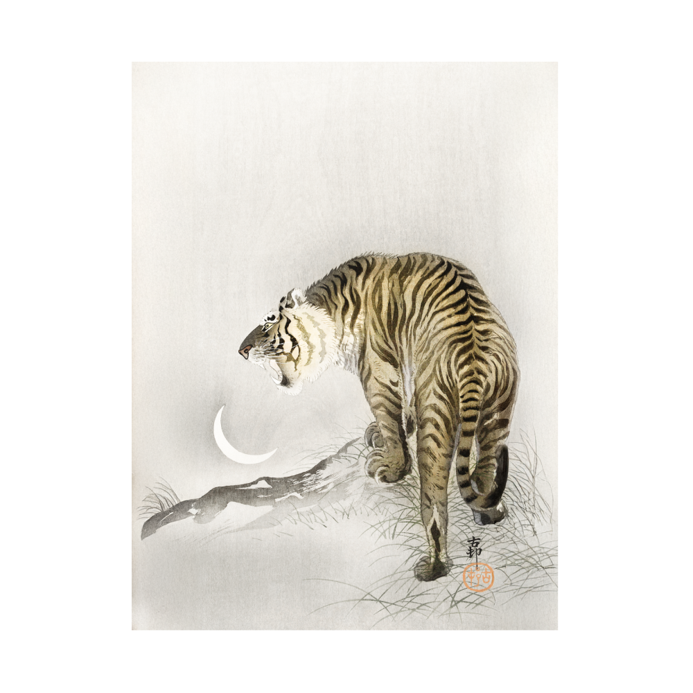 Roaring Tiger