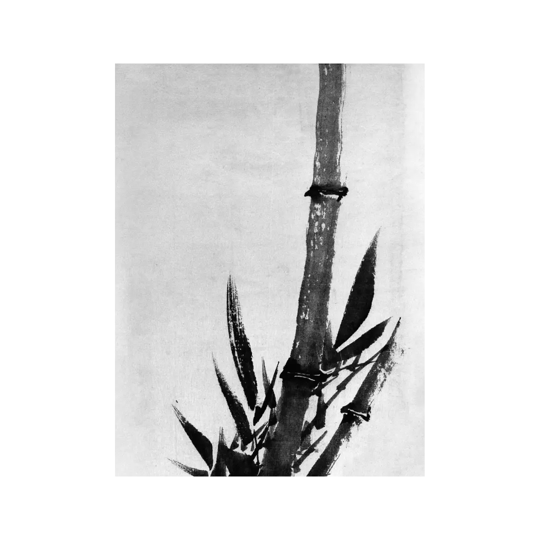 Hokusai's Bamboo